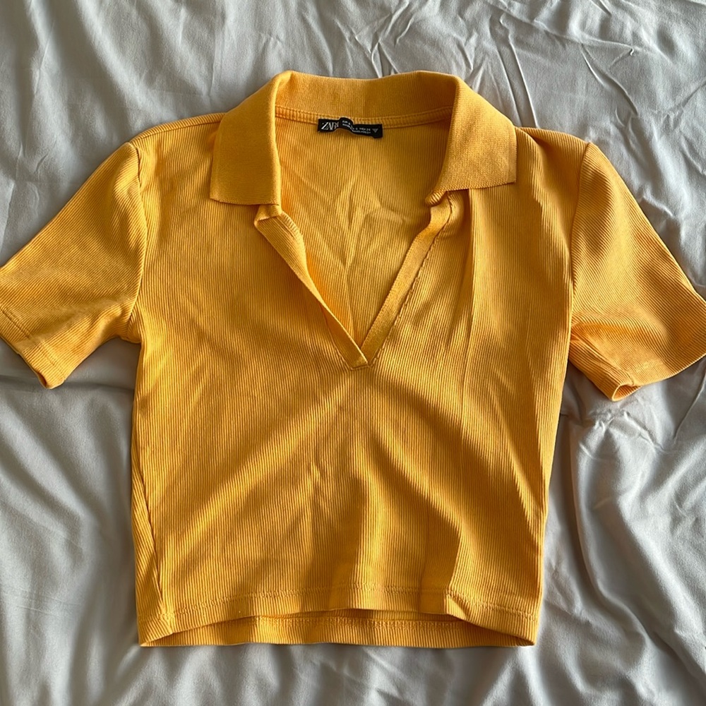 Zara collared crop top